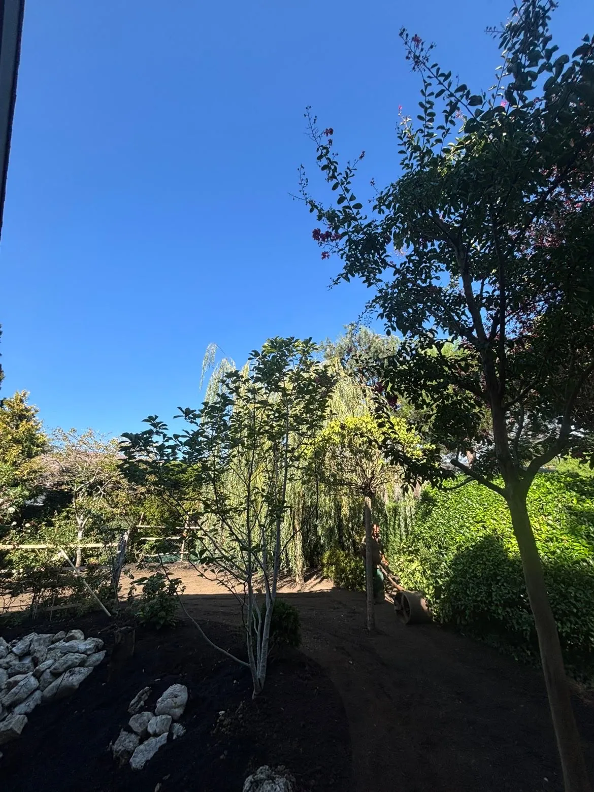 Jardin en cours d’aménagement avec arbres plantés et terre préparée